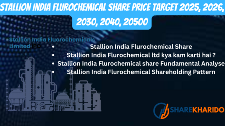 Stallion India Flurochemical Share Price Target 2025, 2026, 2030, 2040, 2050